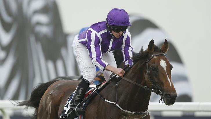 Ryan Moore on a horse